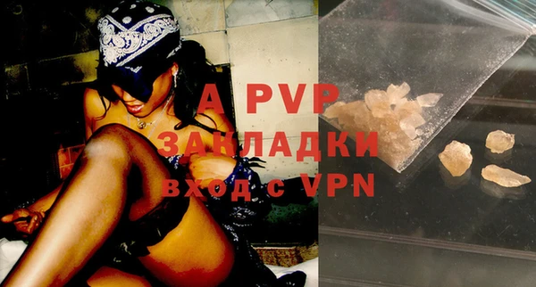 ALPHA PVP Беломорск