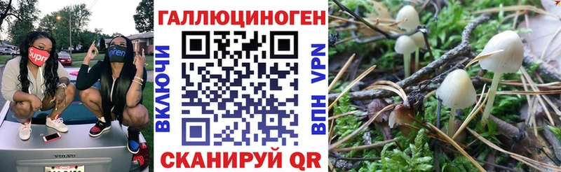 Галлюциногенные грибы Magic Shrooms  Обь 